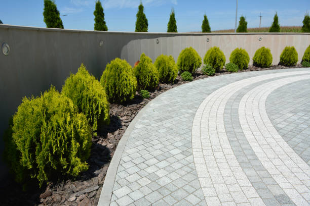 Best Residential Paver Driveway  in Pea Ridge, AR